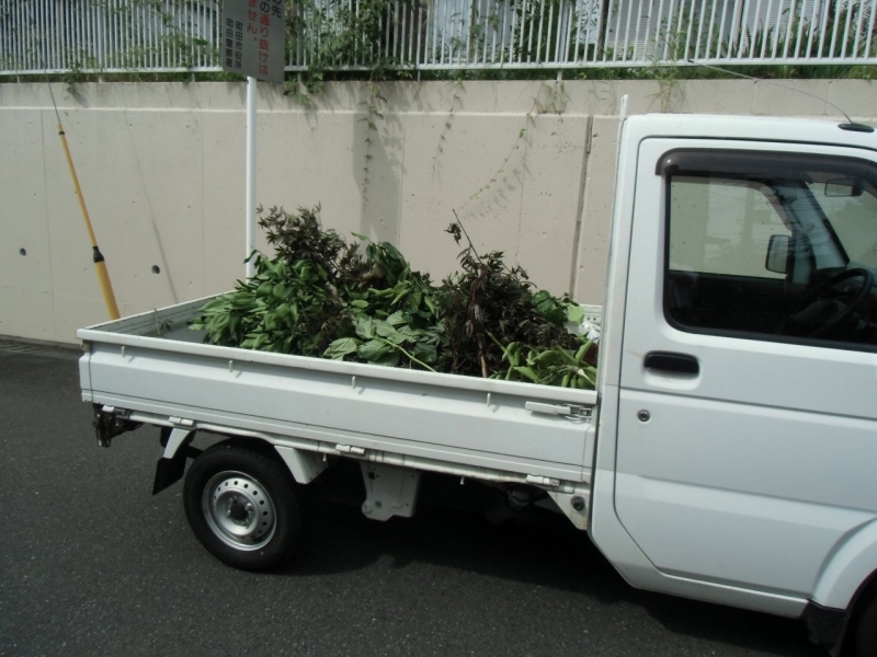 スッキリ!サッパリ!