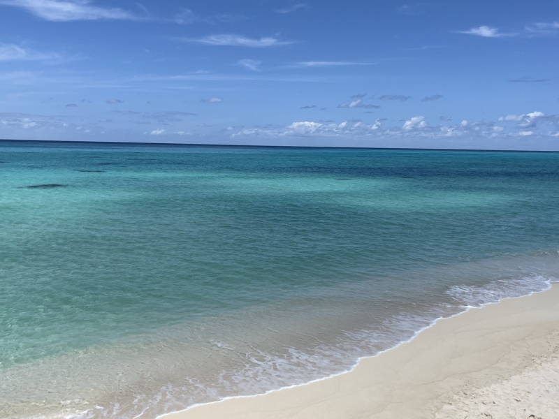 宮古ブルーに誘われて