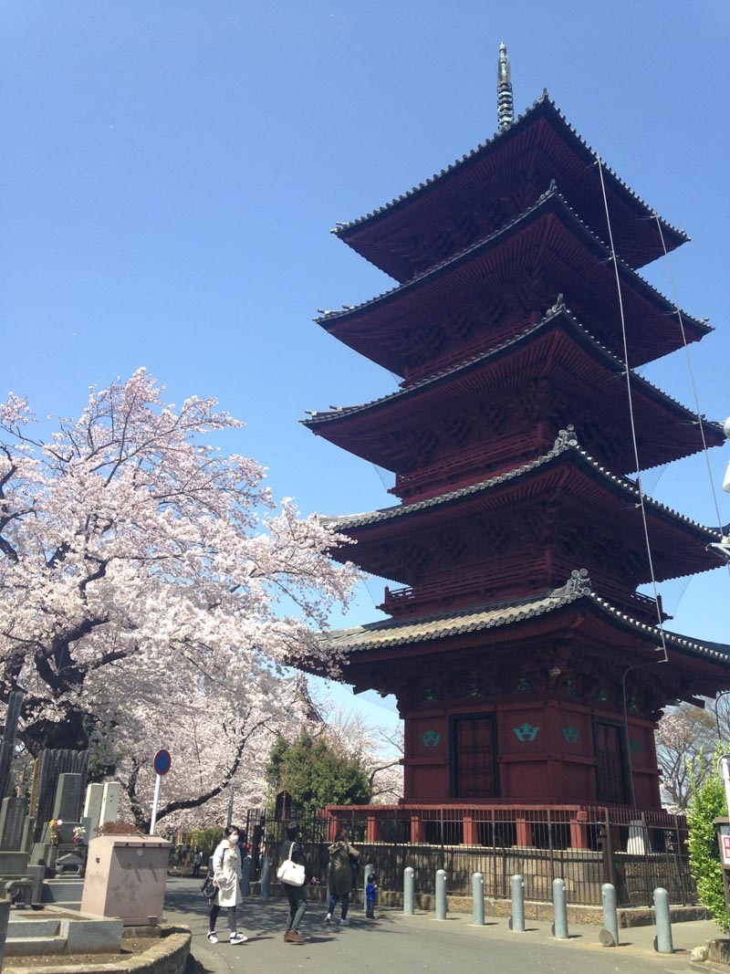 ちょこっと散歩♪池上本門寺