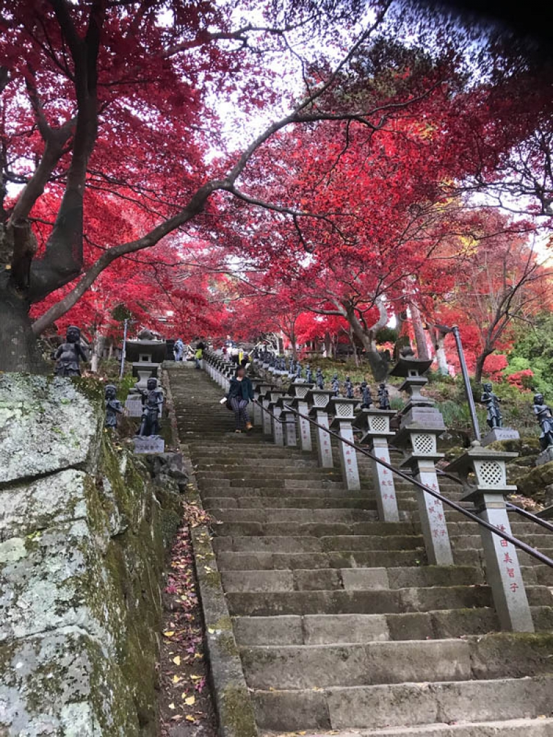 初の大山詣