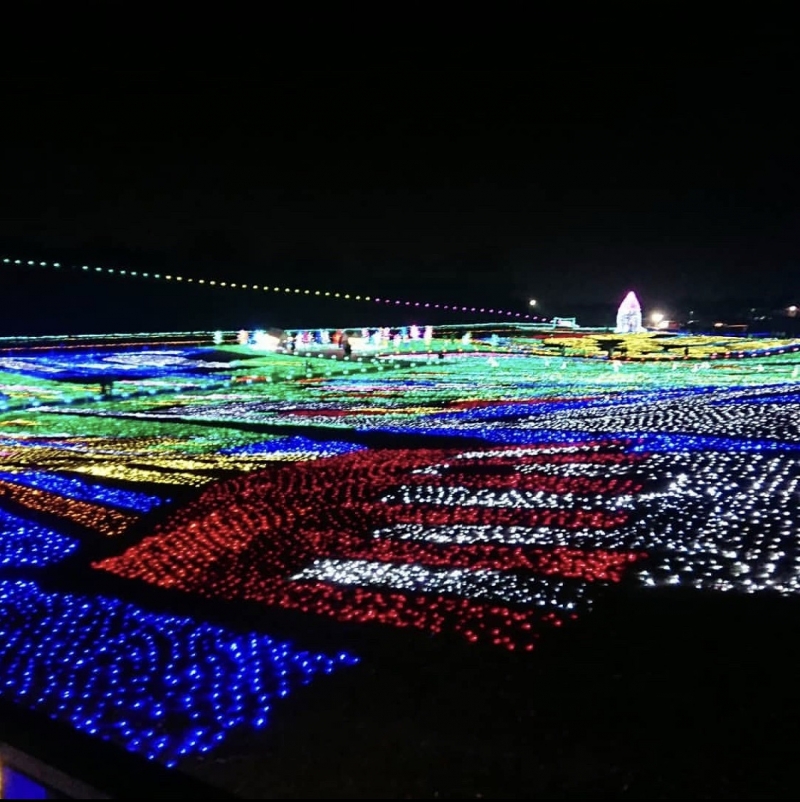 東京ドイツ村