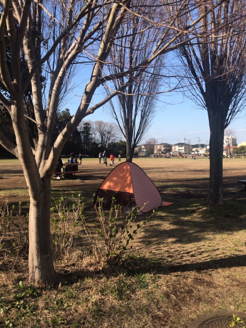 近所の公園