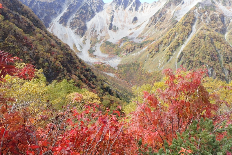 紅葉の季節