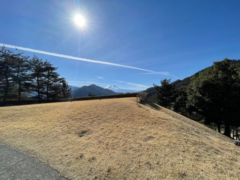 去年から今年にかけて、、