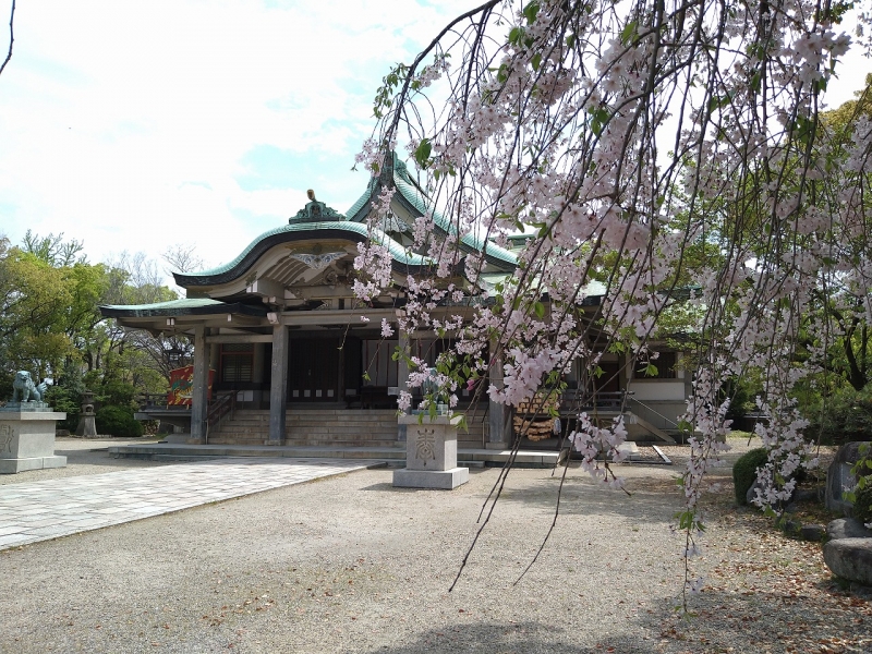 久しぶりの大阪城