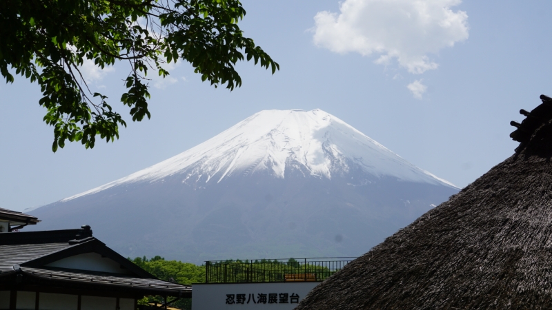 避暑地を求めて