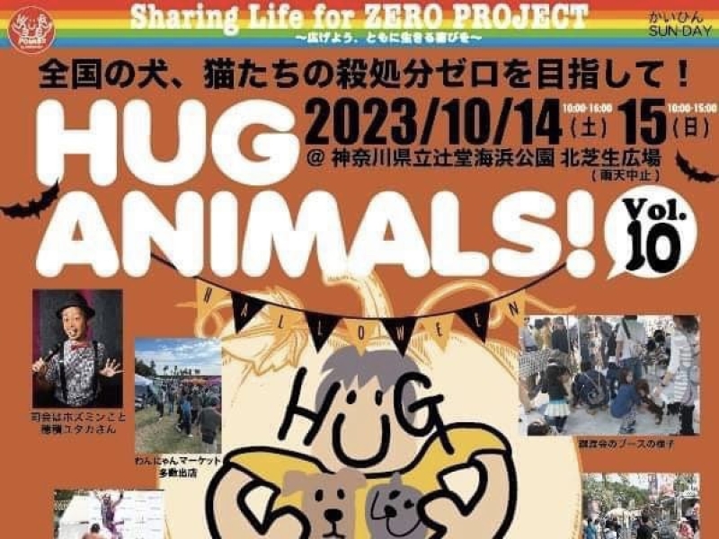 HUG ANIMALS!