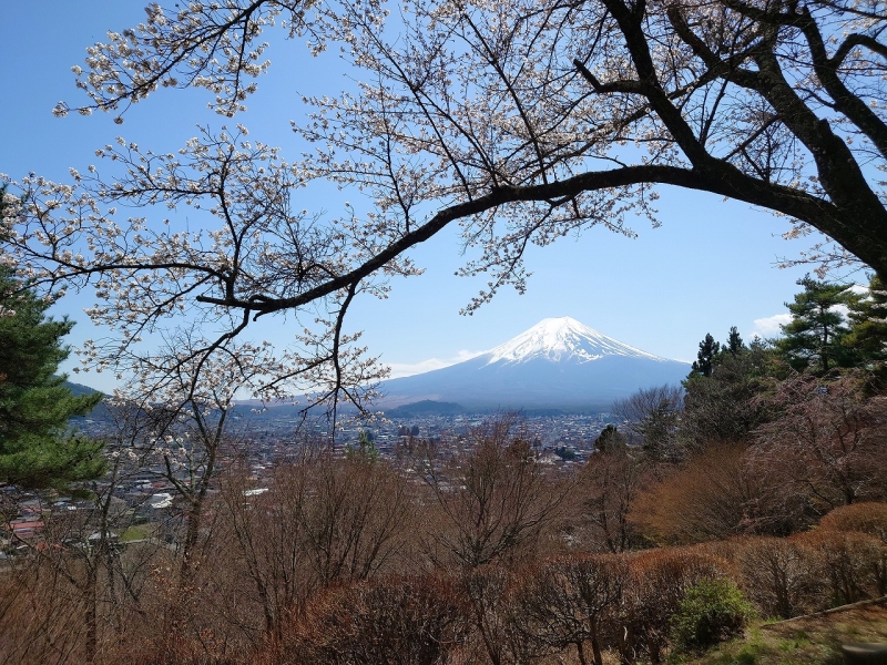 新年度が始まりました