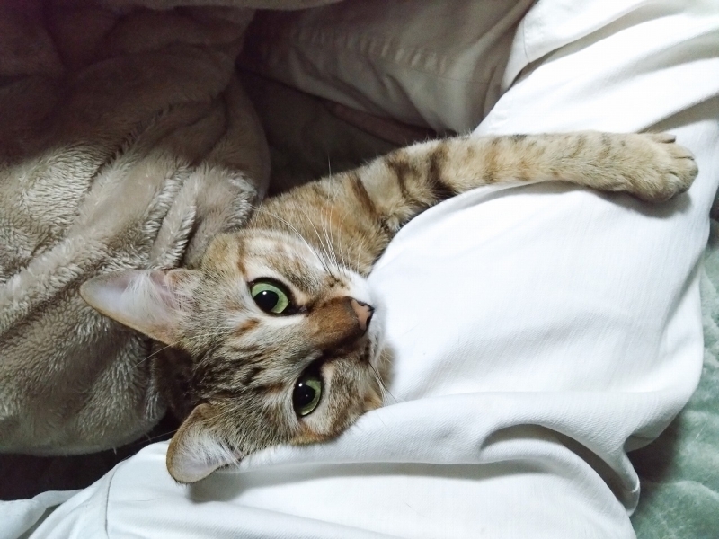 元気に育ってます！