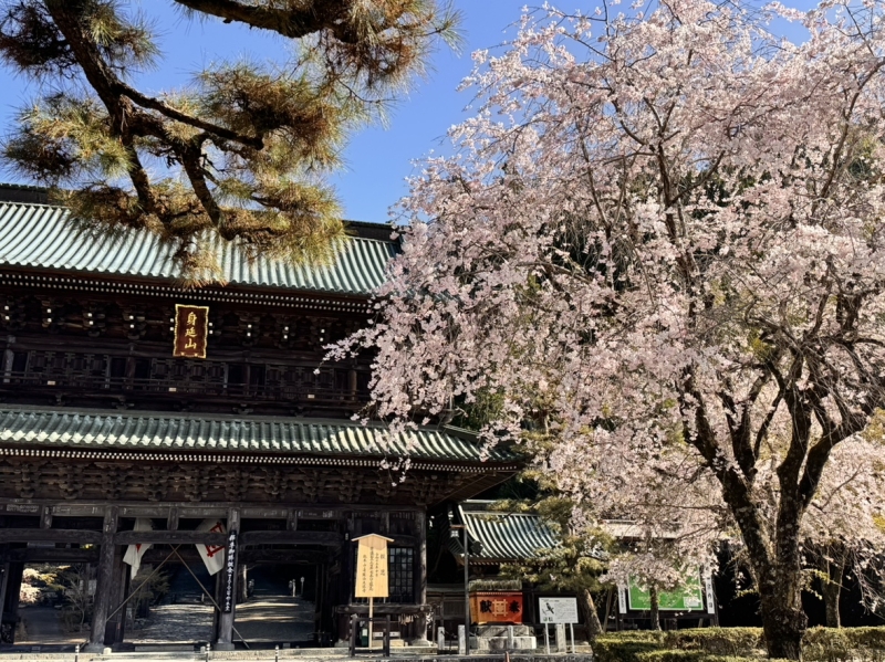久遠寺と珈琲焙煎所